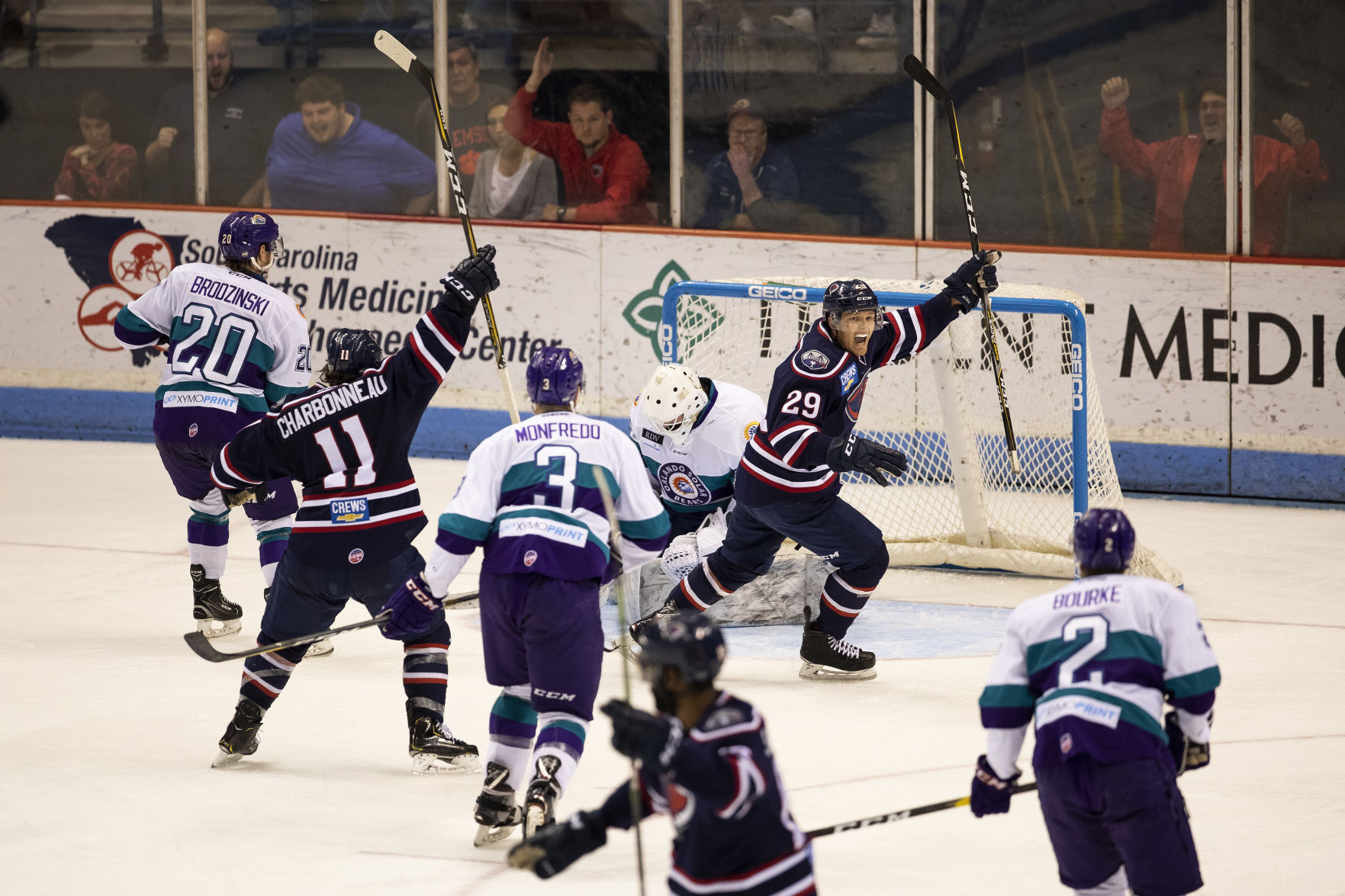 Stingrays PRINT LEDE.JPG